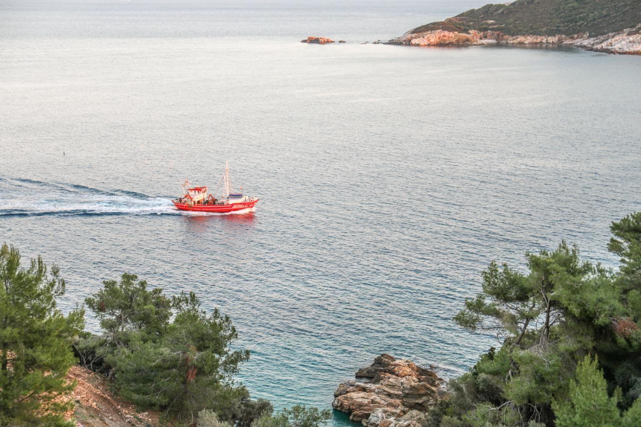 Thalasses Villas Skiathos Punta Buitenkant foto
